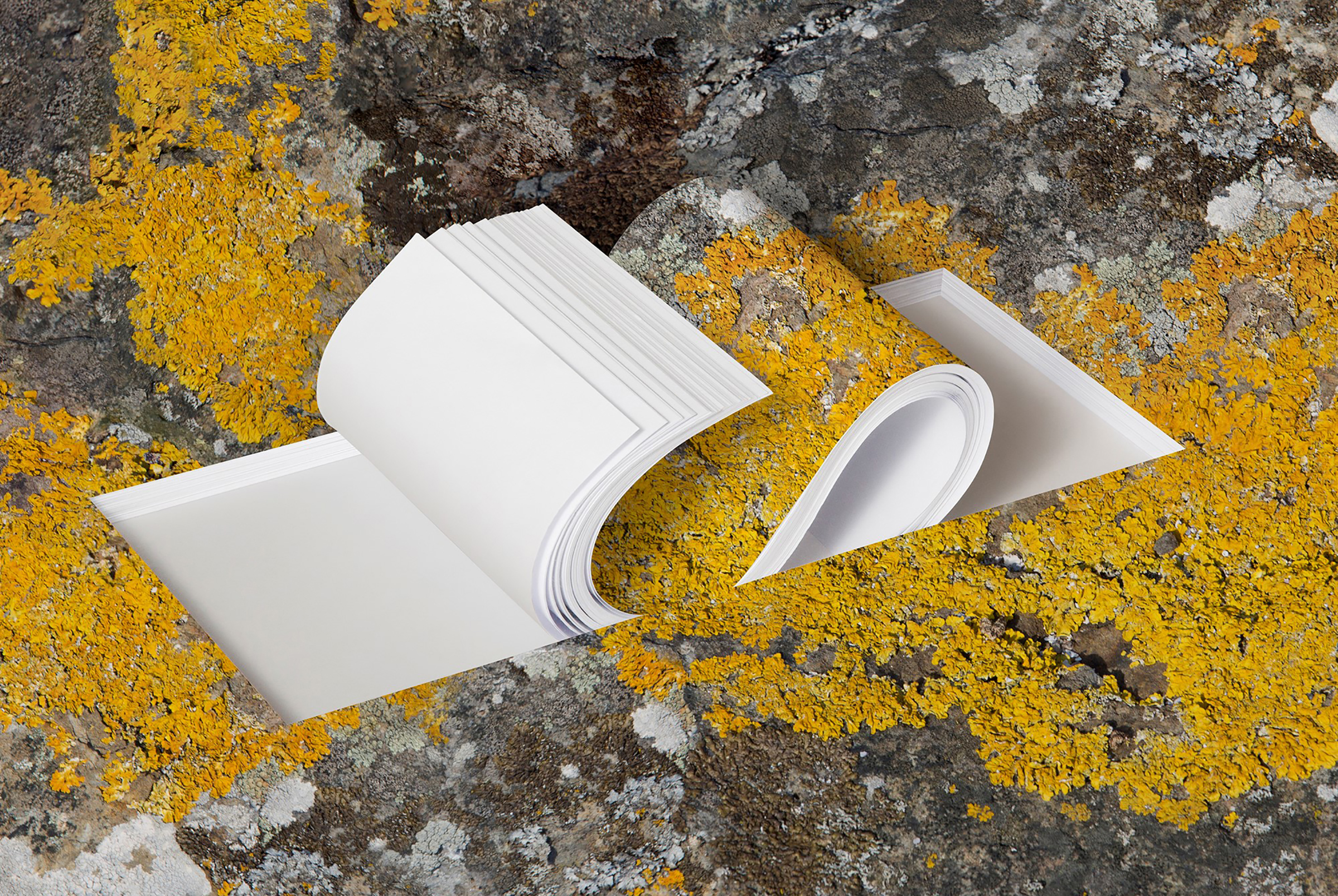 Arctic_Paper_Cradle_to_Cradle_2400px.jpg